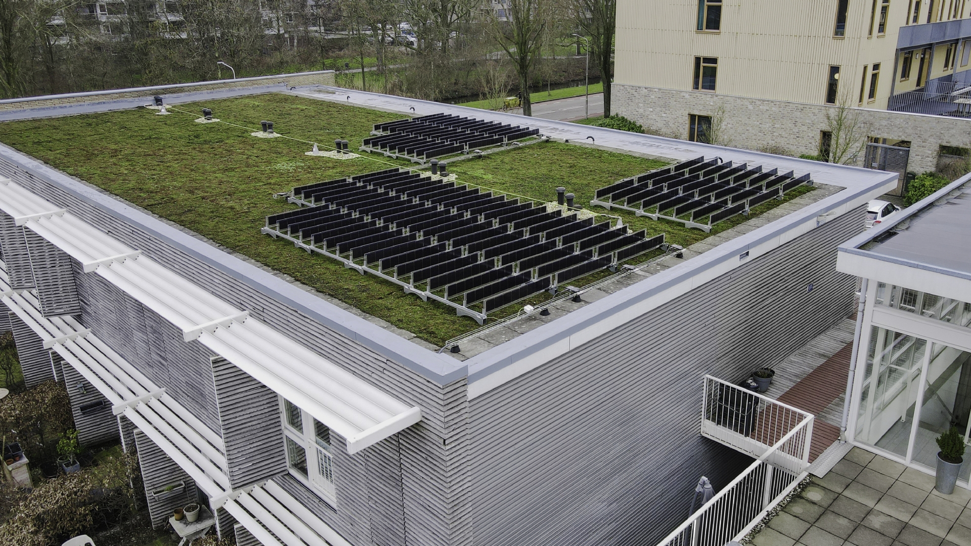First Dutch Green Roof with Vertical Solar